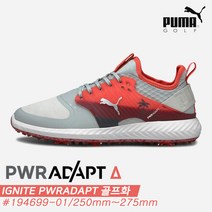 스포츠_ [코브라푸마골프코리아정품]2021 푸마 이그나이트 파워어댑트 골프화[#194699-01][남성용][리스-게오르]