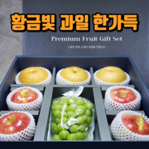 [메리네마켓] 메론 샤인머스켓 사과 배 망고 애플망고 혼합 과일 고급 선물세트 회사 부모님 지인 명절선물 백화점 납품용, 단품 황금향 A [선물용가방]