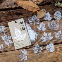 투명 단풍 나뭇잎 압화 PET 다꾸 스티커 다이어리꾸미기 8종, 4.핑크B (ST-897)