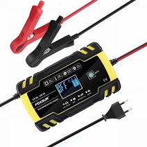 퍽셔 FOXSUR 12V 24V 8A 자동 배터리 충전기 3 단계 펄스 수리 LCD 디스플레이 스마트 자동차 젤 납 산성 WETF, EU plug, 러시아, 01 EU plug