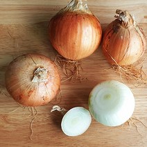 유기농 무농약 양파 국내산 양파 3kg 5kg 친환경인증서 친환경, 무농약 양파 5kg, 1개