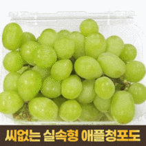껍질째먹는 씨없는 애플청포도 실속형 주스용 4kg 수입산 고당도 포도, 단품