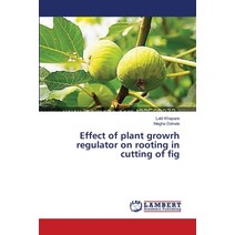 (영문도서) Effect of plant growrh regulator on rooting in cutting of fig Paperback, LAP Lambert Academic Publis..., English, 9783659200502