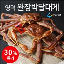 국내산 영덕 최고급 완장박달대게 속이 꽉찬 강구항 수율 90% 이상, 완장 박달대게(특대)1KG이상 (생물), 1개
