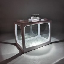LED 큐브어항 미니수족관 자동환수 수초 해수어 베타 어항, 화이트, 그린 라이트