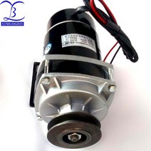 450w 500W 600W 24V/ 36V / 48v 벨트 풀리 기어 모터 브러시 모터 전기 세발 자전거 모터 DC 기어 브러시 모터 MY1020ZXF|직류 전동기|, 1개, 단일, 48V  500W