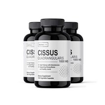 보뚜슈퍼푸드 Cissus 시서스 100캡슐 1000mg