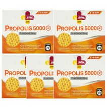 사은품+SPH 프로폴리스 5000mg 플라보노이드 70mg 180캡슐 원어데이 뉴질랜드, 180캡슐 5개