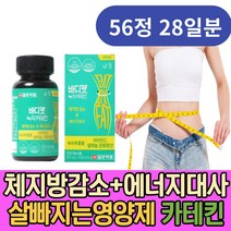 예비신부 웨딩 2주 다이어트 녹차추출물 판토텐산 셀렌 30대 40대 술살 뱃살 허벅지살 빼는법 녹차 다이어트 카테킨 단기간 2주 체지방컷 체지방빼기 살빼는법 급찐급빠 보이차 레몬밤