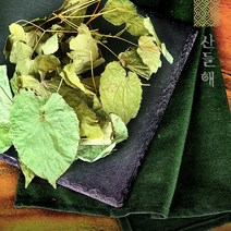 자연산 야생 삼지구엽초 200g 음양곽 삼지구엽초주, 1개