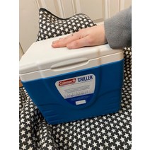 휴대용 하드 쿨러 9쿼트