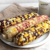 우리가스토리 탱글탱글 냉동 삶은 찰옥수수 홍찰 20개 (10cm~12cm내외) 냉동옥수수 삶은옥수수 옥수수 냉동찰옥수수, 3.3kg (중, 16개, 14~16cm 내외), 1개
