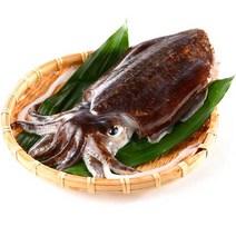 태안산지출고 갑오징어1Kg(4-10미) 급냉