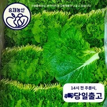 승재농산 국내산 쌈추 쌈배추 쌈채소 2kg 4kg, 1박스(2kg내외), 1개