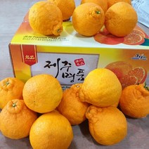 2023년 나영이네농장 고당도 한라봉 제주산 청견오렌지 4.5kg 9kg- 실중량 달아요, 한라봉 9kg(20~29과)특대과-벌크