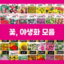 꽃씨 모음 씨앗 제라늄 물망초 연꽃 백일홍 구절초 수레국화 버베나 다알리아 천일홍 핑크메밀 키우기, 109.하얀민들레