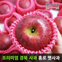 이츠올릿 경북 햇 홍로 부사 꿀 사과 3kg 정품 소과(15과) 껍질째 먹는 가정용 청송 안동 문경 장수