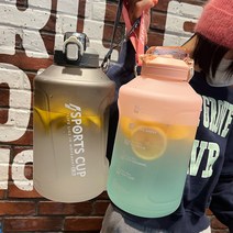 스포츠 물통 텀블러 헬스 물병 2리터 1리터 [즉시배송], 1.5L, 핑크, 1개
