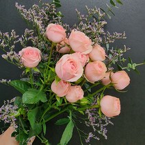 [플라워365마켓] 미니 장미 생화 세트 꽃배달 싼곳 도매 생화꽃 경매 택배 발송