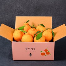 블루제주 한라봉 대과 1.5kg 2.5kg, 한라봉 2.5kg 5-8과, 1개