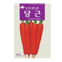 신흑전5촌 당근씨앗 3000립, 단품