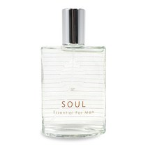 더페이스샵 소울 에센셜 포맨 30ml