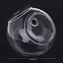 벽걸이어항 8 cm12 cm 유리 꽃병 벽 수경 테라리움 수조 화분 화분 may-18a, 12cm