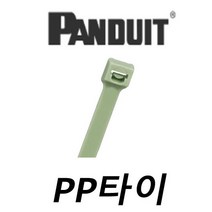 팬듀이트
