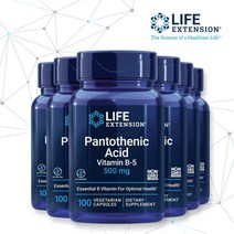 라이프 익스텐션 6개 판토텐산 비타민 B5 500mg 식물성 100 캡슐 칼슘 쌀 추출물