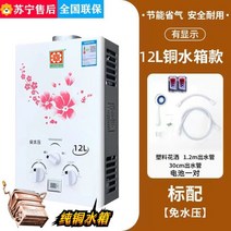 가정용 가스온수기 중형 소형 순간식 용량 LPG 10리터, 액화 석유 가스, 가스온수기-12L