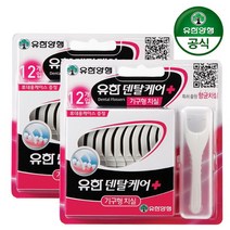 [유한양행] 유한덴탈케어 기구형치실 12입 x 2개, 상세 설명 참조