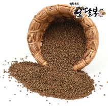 수입 들깨 생들깨 흑들깨, 1개, 1kg