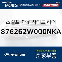 사이드미러 커버 우측 (876262W000NKA)-현대모비스 부품 공식대리점 온라인쇼핑몰 파츠로 싼타페