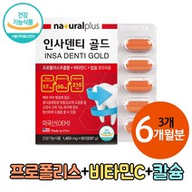 인사 덴티 골드 미국 프로폴리스 추출물 뼈 건강 칼슘 치아 잇몸 영양제