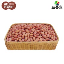 토종원 햇 생알땅콩 1kg 전북고창 선운산농협