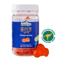 블루검 콜라겐 구미, 1개, 240g