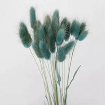 토끼 꼬리 말린 꽃 솜털 팜파스 잔디 소박한 웨딩 장식 홈 30 개, 09 grey blue_01 30pcs