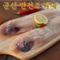 군산직송 반건조 박대 서대 구이 찜 40cm내외 크기선택 말린생선 8-10미 골라담기, [특대] 박대 32~35cm내외 x 10마리