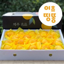 가정용 산지직송 제주도 서귀포 고당도 황금향 타이벡 극조생 노지 감귤 밀감 3kg 5kg, 타이벡감귤, 7.5kg(소과)