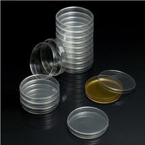 페트리디쉬(현대) 60mm 페트리접시 petri dish 일회용 샤레 플라스틱 샬레 H10060, H10060 (60mm - 500/box)
