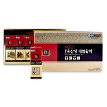 천년홍삼 6년근 발효홍삼정 매일활력 15ml 60포, 1세트