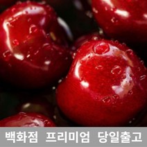 가락청과네 체리 3kg 바이오체리 생체리 가격 과일, 1, 본상품선택