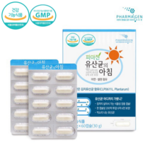유산균 캡슐 특허 김치유산균 식물성 장용성캡슐 식약처인증 아연 셀렌 프로바이오틱스, 1박스, 60캡슐