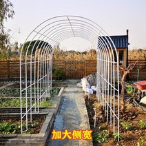 정원 가든아치 단독주택 꾸미기 녹 방지 철제 아치 포도 나무 꽃 선반 야외 장식 아크 게이트 울타리 안뜰 바닥 야채 창고, [23] 짙은 녹색 가로/높이/측면 폭 350x220x