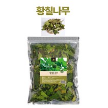 국내산 황칠나무 효능 가지 잎 황칠나무차 나무인삼 500g, 1개