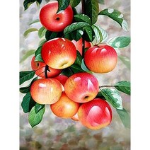 세진 DIY 보석십자수 3D 72가지 신제품 새로운 취미생활 보석 십자수 보석십자수, 34x44 금전을 부르는 익은 홍로 30x40, 1세트