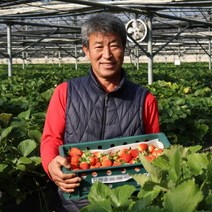 다농이네 산지직송 산청 딸기 1kg 중품, 1