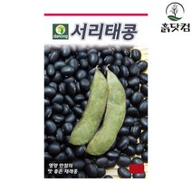 서리태콩 씨앗 30g 재래종 서리태 식물성 지방질 + 네임택, 단품