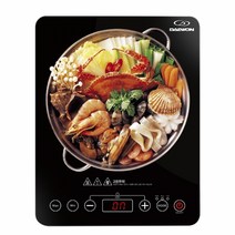 대원 인덕션 전기레인지 DW-IH2000