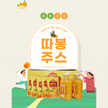 [제주살램] 백년귤화다 따봉주스 100% 제주 효돈 감귤 착즙 주스 (100ml 팩 500ml 유리병), 500ml 병 5개